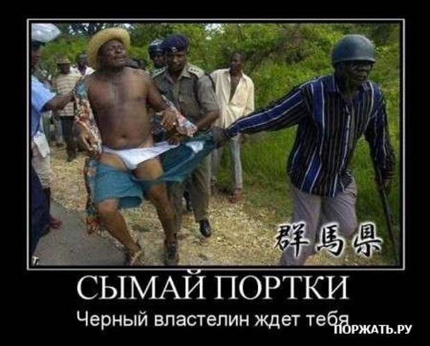 Демы свеженькие
