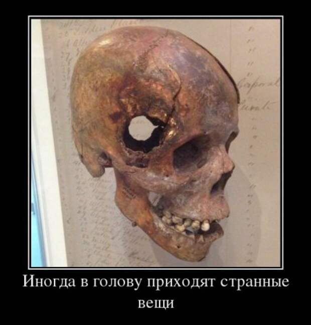 Демотиваторы, позитив светит.