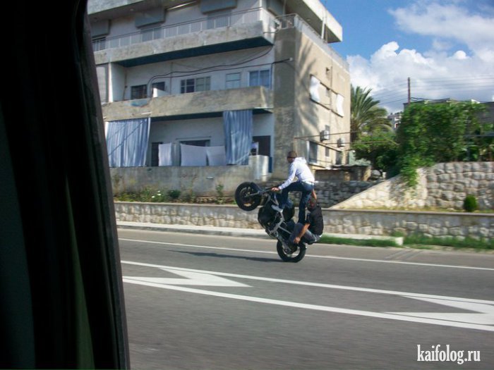 Лучшие приколы года (135 фото)