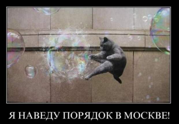 Демотиваторов весело, много, и самые прикольные!