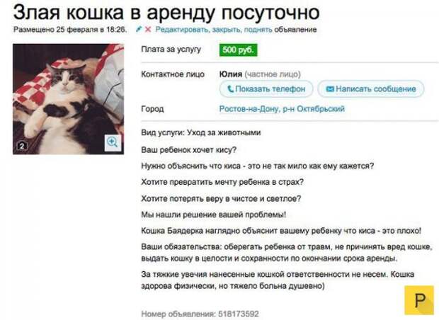 Забавные объявления об аренде и прокате (24 фото)