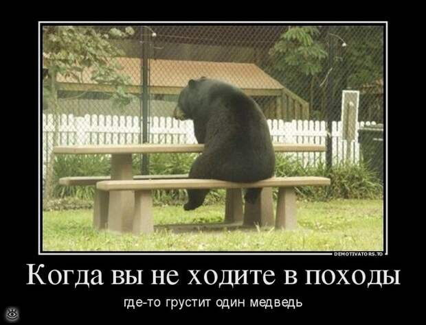 Иногда проще сказать правду... 16