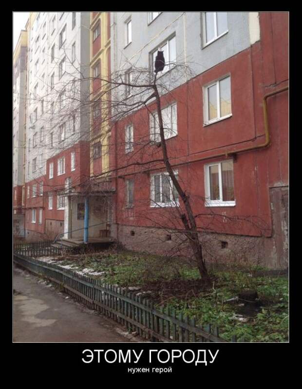 Демотиваторы демотиваторы, картинки, приколы