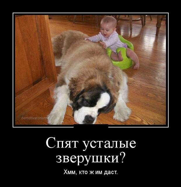 Демотиваторы Демотиваторы демотиваторы, юмор