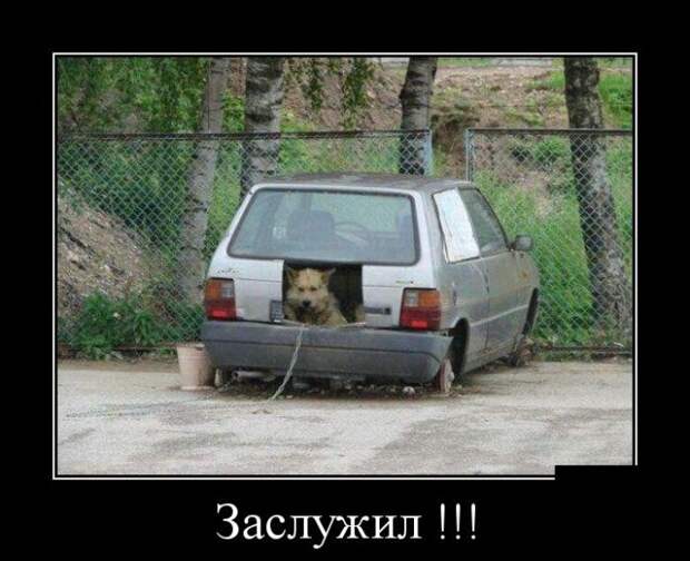 Демотиваторы (30 фото)