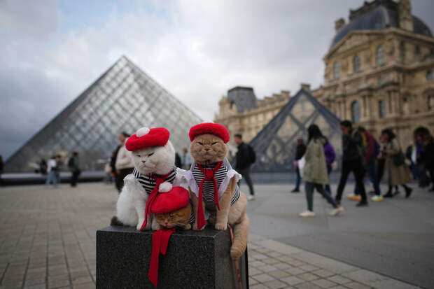 Снятый камерой наблюдения момент ограбления Лувра впервые показали на ТВ Франции
