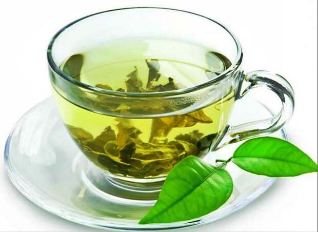 green tea and youth