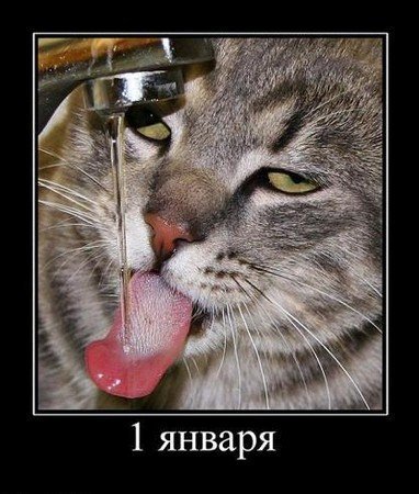 весёлые демки