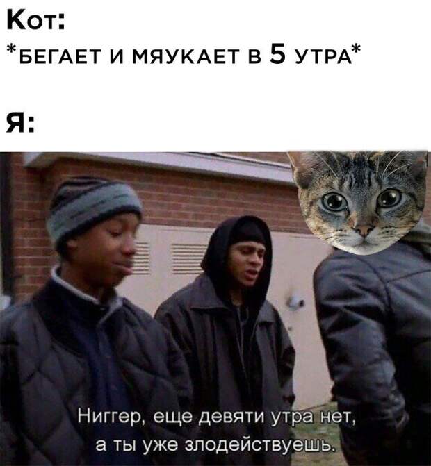 Намешалось