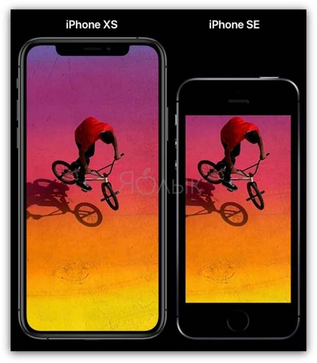Размеры Сравнение размеров iPhone XR и iPhone 8 Plus