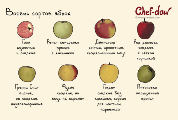 универсальная шпаргалка для кухни 
