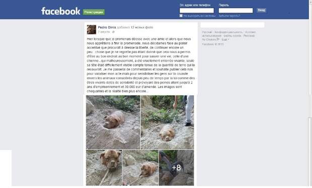 Facebook