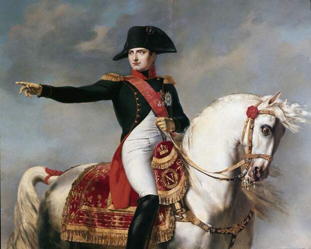14. Наполеон — кошки и белые лошади. история, страхи, фобии