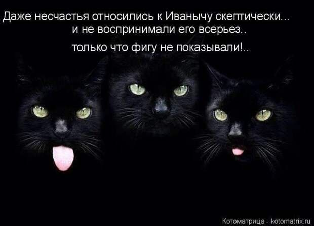 Лучшие котоматрицы недели
