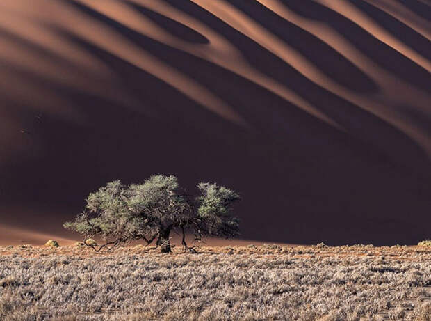 Лучшие фотографии сентября 2015 от National Geographic