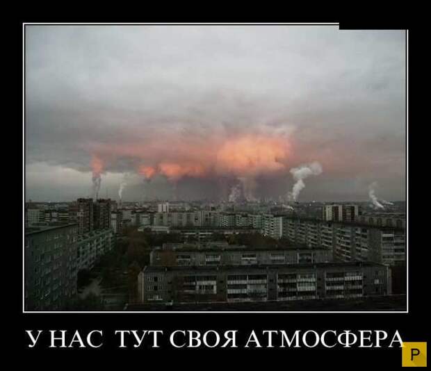 Демотиваторы от 01.07.2015 (33 фото)