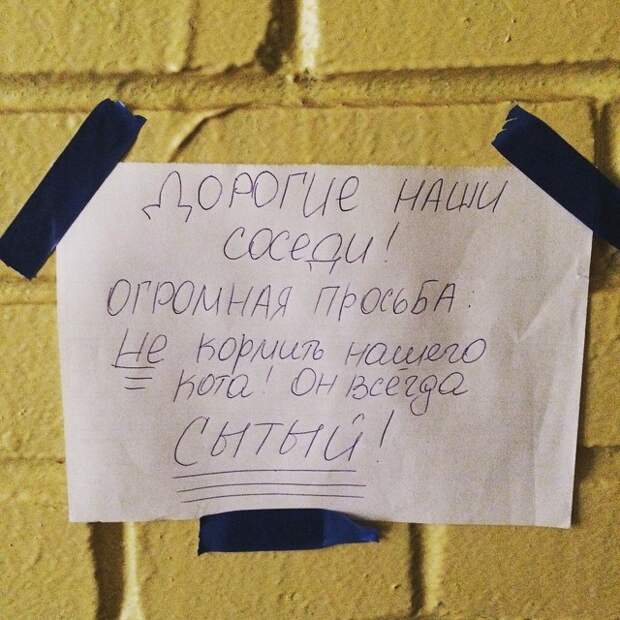 гениальные объявления в подъездах 