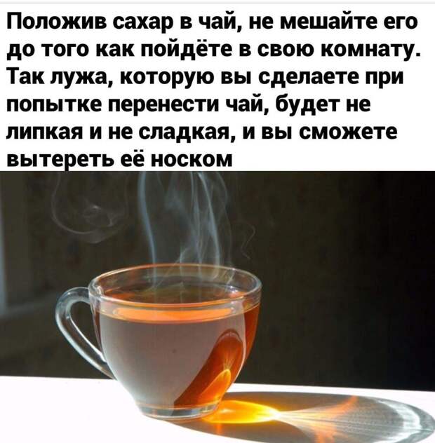 картинки прикольные смешные (11)