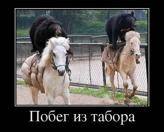 Демотиваторы Демотиваторы демотиваторы, юмор