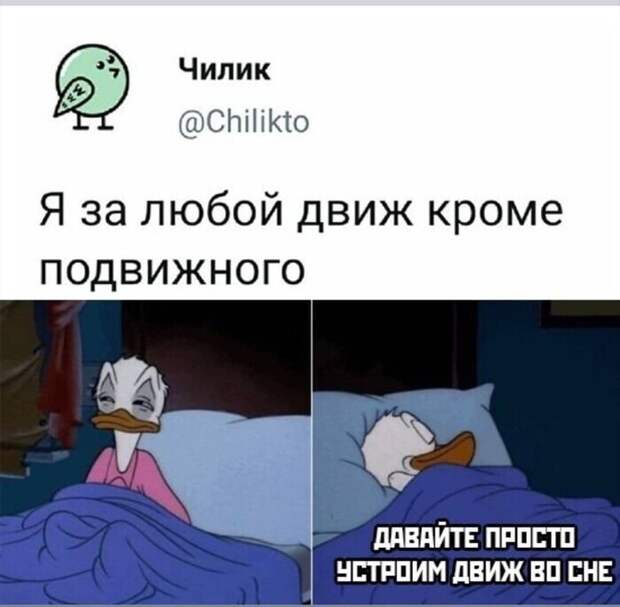 Ленивцы всех стран, объединяйтесь! Ленивцы всех стран, объединяйтесь!