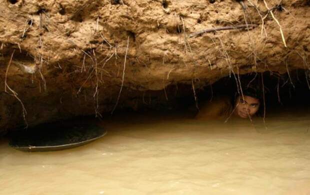 Золото (37 фото) Золото (37 фото)