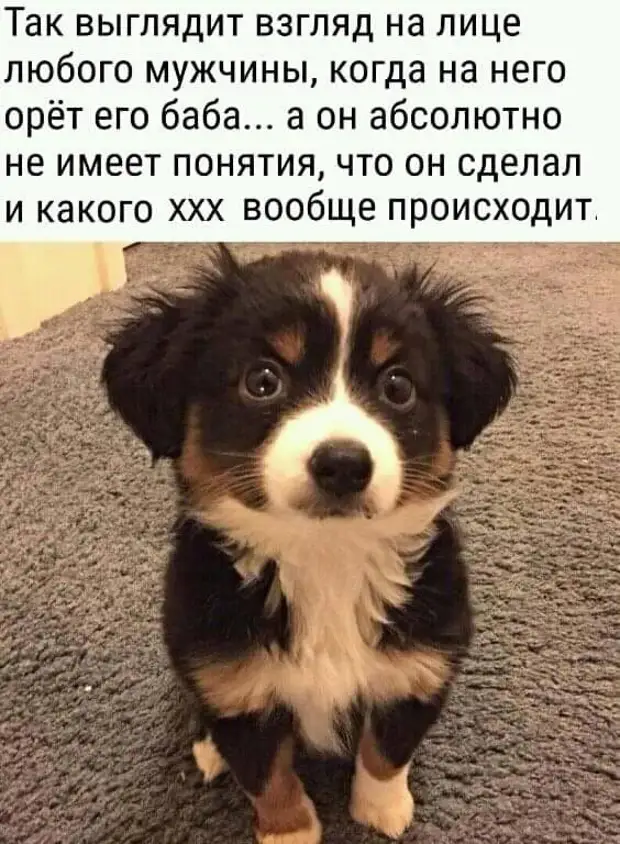 Чтобы что-то не купить, ума и опыта всегда требуется больше, чем это же купить специалист, ракеты, Петровна , молчи, целыми, днями, обезьяны, опытный, теперь, потом, говорит, Почему, запуск, приподнялась, шляпу, присутствии, Мадам, доченька, буду , Девушка