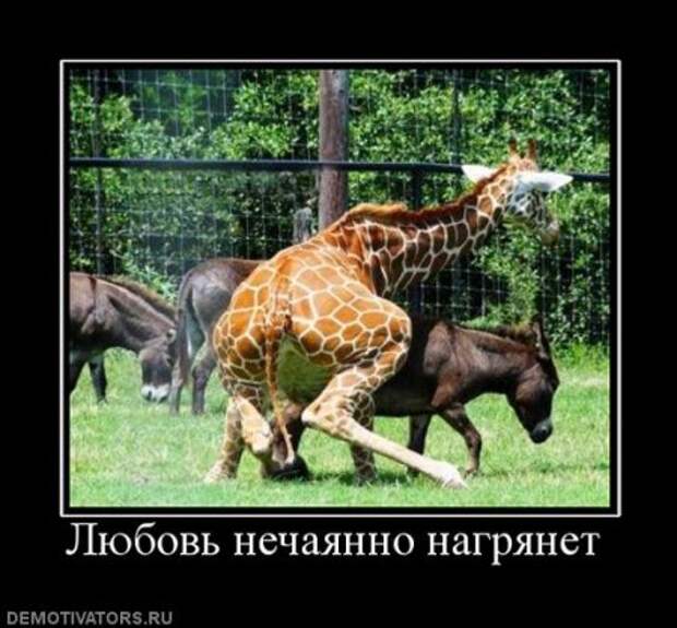Демотиваторы, много новых и только прикольных.