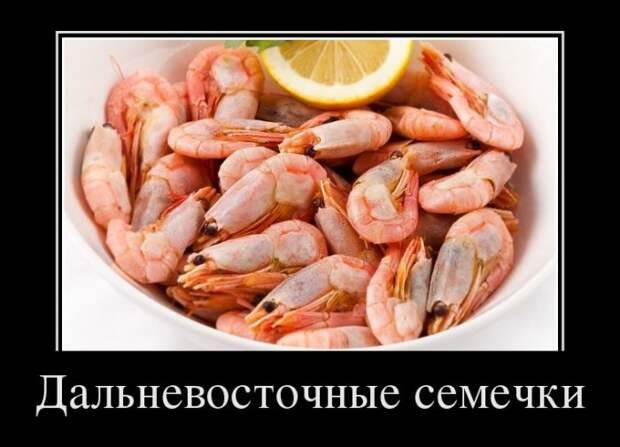 Прикольные демотиваторы для всех (27 шт)