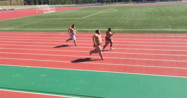 sumo-wrestlers-40-m-dash