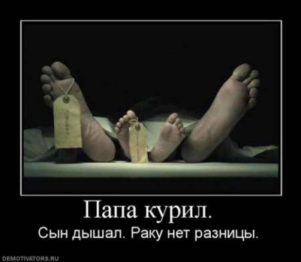 Что такое демотиватор? Ответы на сайте!
