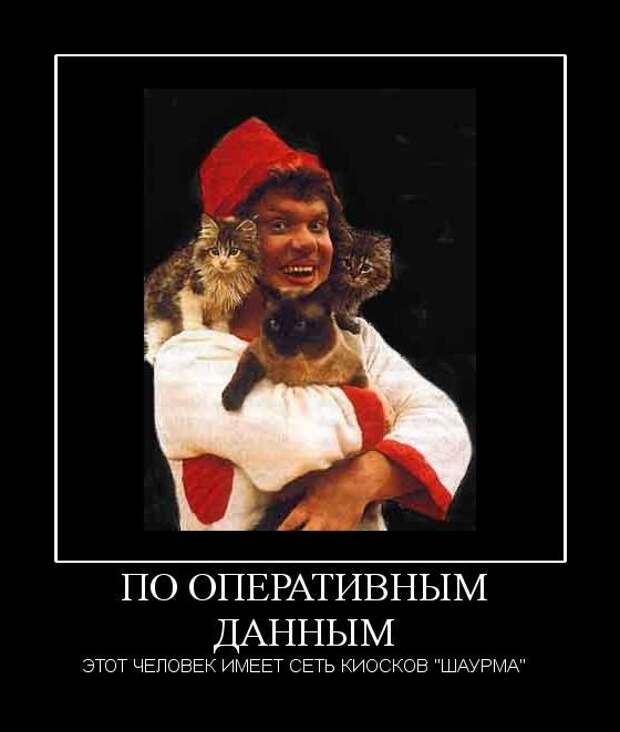 Демотиваторы (50 фото)