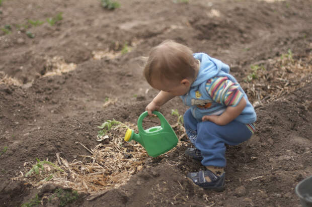 ребёнок поливает огород