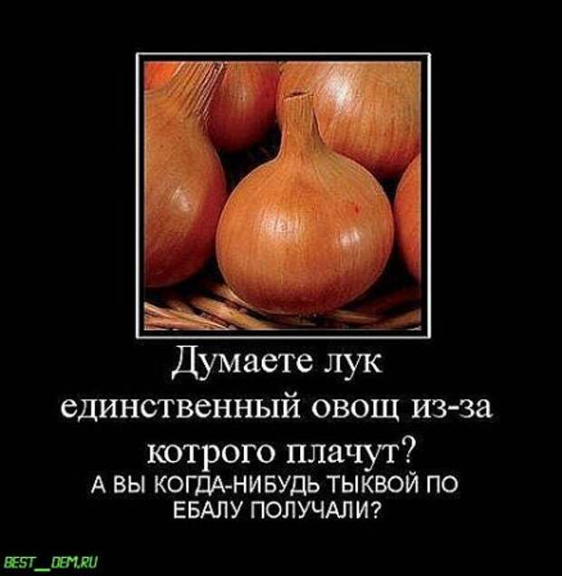 Демотиваторы, смешно, прикльные подписи и фотки.