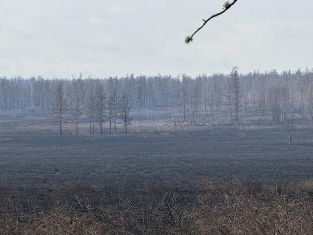 В Хилокском районе локализован пожар