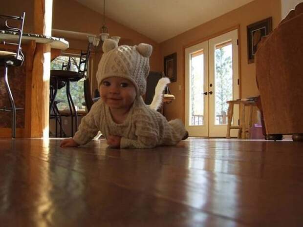 Веселые снимки, сделанные в самый подходящий момент (50 фото)