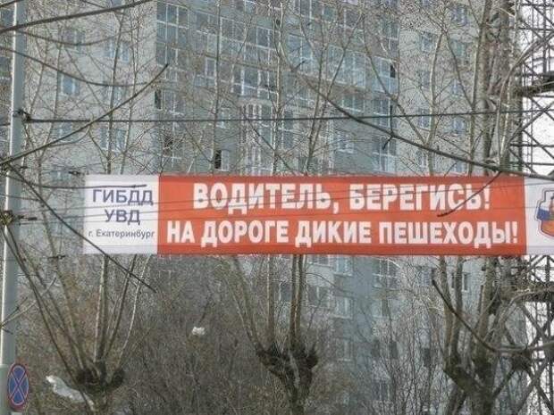 Маразмики  картинки, настроение, позитив, фотоприкол