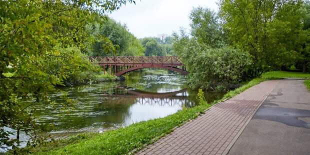 Сергунина назвала минувший летний сезон насыщенным и продуктивным для московских парков. Фото: Е. Самарин mos.ru