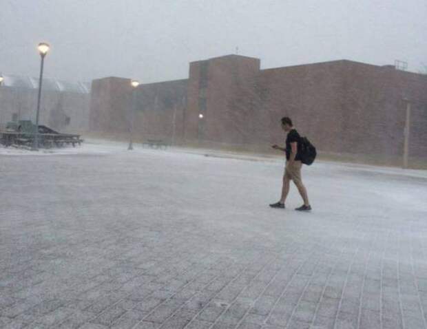 Прикольные картинки. Вечерний выпуск (53 фото)