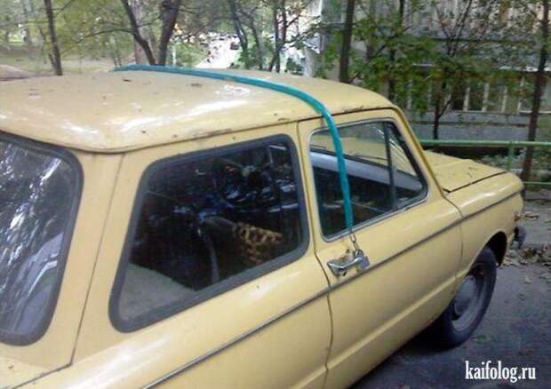 Прикольные противоугонки (50 фото) Прикольные противоугонки (50 фото)