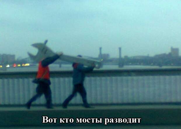 Юмор каждый день