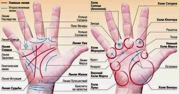 Толкование линий на ладони