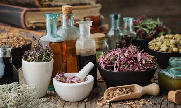 Как лечили грипп на Руси: щучий метод, заговор «абракадабра» и шоковая терапия криком