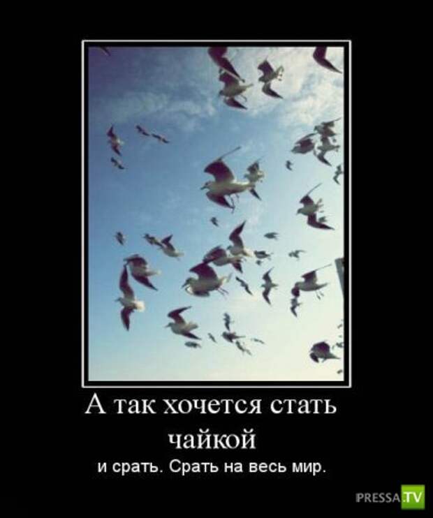 Демотиваторы (29 фото) Демотиваторы (29 фото)