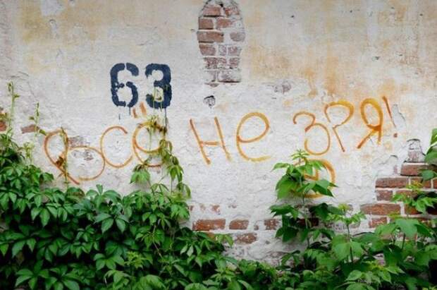 Когда надписи на стенах смотрят прямо в душу надпись, стена, юмор