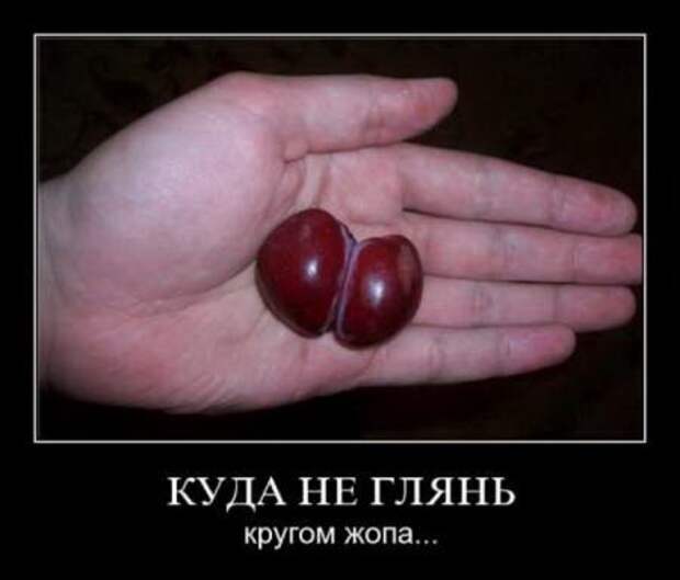 Демки прикольные