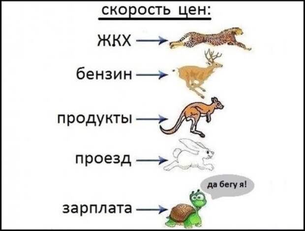 Новая коллекция прикольных фотомемов (37 шт)