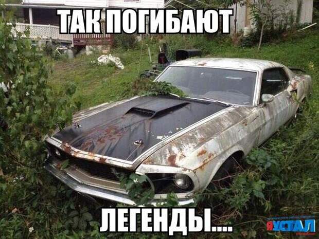 Смешные картинки с надписями прикол, юмор