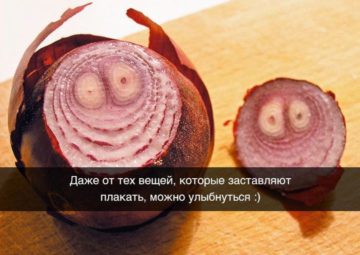 Подборка для хорошего настроения и развития «философских» взглядов история, прикол, факты, юмор