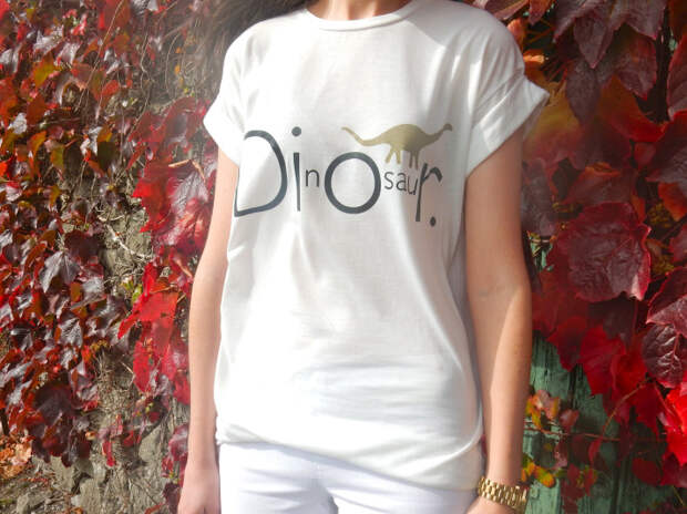Irish Fashion DIOR or DInOsauR 2