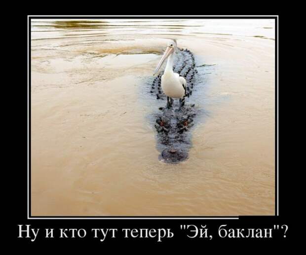 Демотиваторы (30 фото) Демотиваторы (30 фото)